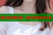 媳妇当家国语版：轻松管理家务生活