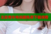 北京青年电视剧免费下载观看