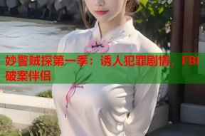 妙警贼探第一季：诱人犯罪剧情，FBI破案伴侣