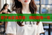 厨子当官演员表：精彩剧情一览