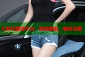 大时代国语平台：精选剧集，畅听无限