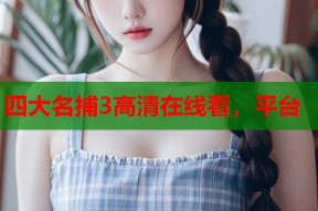 四大名捕3高清在线看，平台