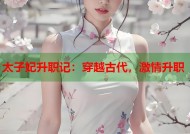 太子妃升职记：穿越古代，激情升职