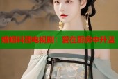 婚姻料理电视剧：爱在厨房中升温