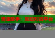 情逢敌手：互动对战平台