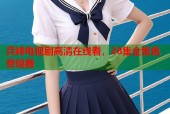 兵峰电视剧高清在线看，28集全集免费观看