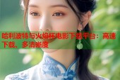 哈利波特与火焰杯电影下载平台：高速下载、多清晰度