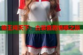 傻王闯天下：古装喜剧情感之旅