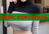 揭秘真相：告密者平台曝光内幕