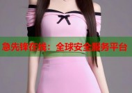 急先锋在线：全球安全服务平台