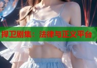 捍卫剧集：法律与正义平台