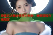 奇星记之鲜衣怒马少年时：神奇冒险在线观赏