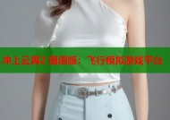 冲上云霄2 国语版：飞行模拟游戏平台