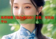 免费观看《因为遇见你》全集，尽在此平台