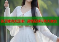 张卫健功夫足球：激情足球与功夫融合