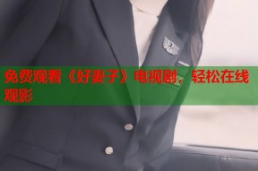 免费观看《好妻子》电视剧，轻松在线观影