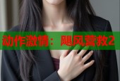 动作激情：飓风营救2
