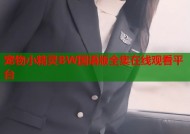 宠物小精灵BW国语版全集在线观看平台