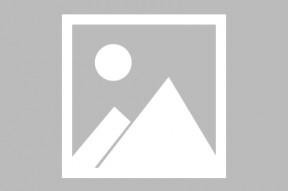 僵尸先生1国语：恐怖冒险游戏平台