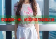 尼基塔第一季：间谍训练与反叛之旅