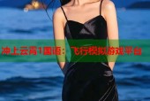 冲上云霄1国语：飞行模拟游戏平台
