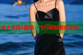 冲上云霄1国语：飞行模拟游戏平台