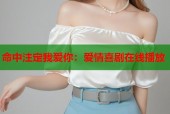 命中注定我爱你：爱情喜剧在线播放