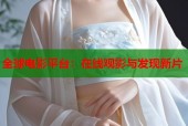 全球电影平台：在线观影与发现新片
