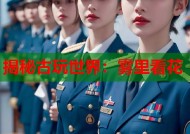 揭秘古玩世界：雾里看花