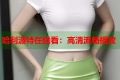 哈利波特在线看：高清流畅播放