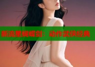 新流星蝴蝶剑：动作武侠经典