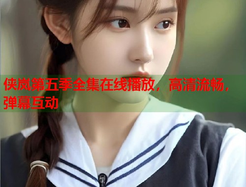 侠岚第五季全集在线播放，高清流畅，弹幕互动  第2张