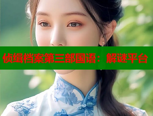 侦缉档案第三部国语：解谜平台  第1张