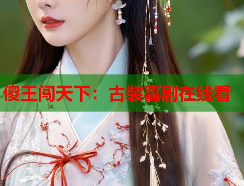 傻王闯天下：古装喜剧在线看  第1张