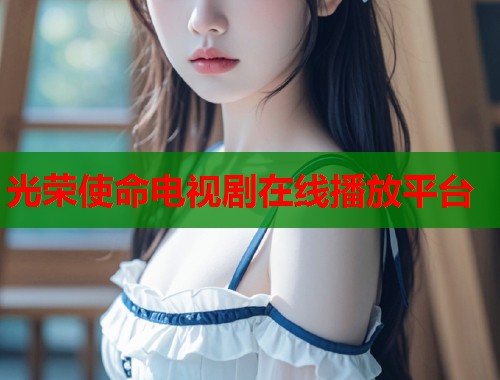 光荣使命电视剧在线播放平台  第1张