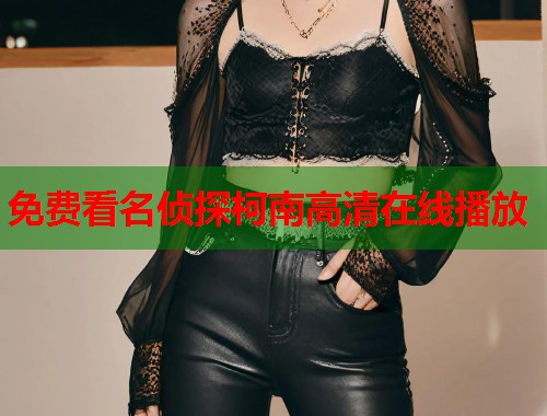 免费看名侦探柯南高清在线播放  第1张