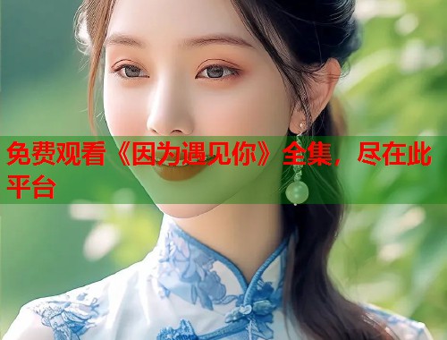 免费观看《因为遇见你》全集，尽在此平台  第1张