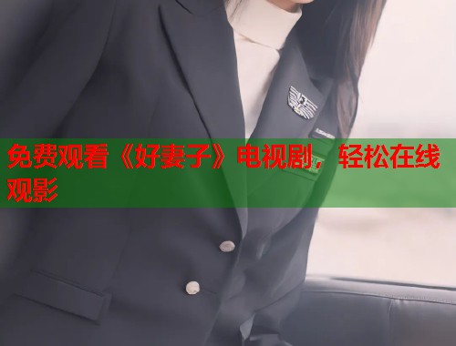 免费观看《好妻子》电视剧，轻松在线观影  第1张