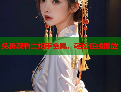 免费观看二炮手全集，轻松在线播放  第1张