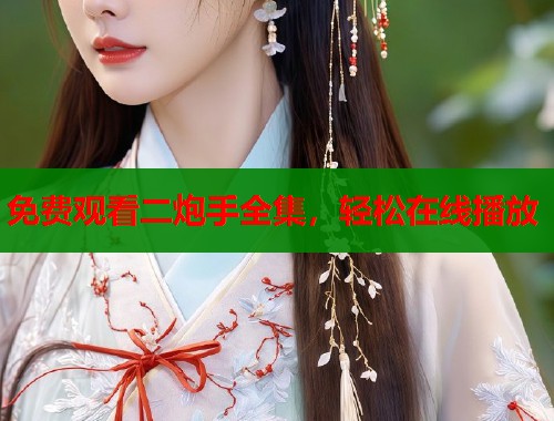 免费观看二炮手全集，轻松在线播放  第2张