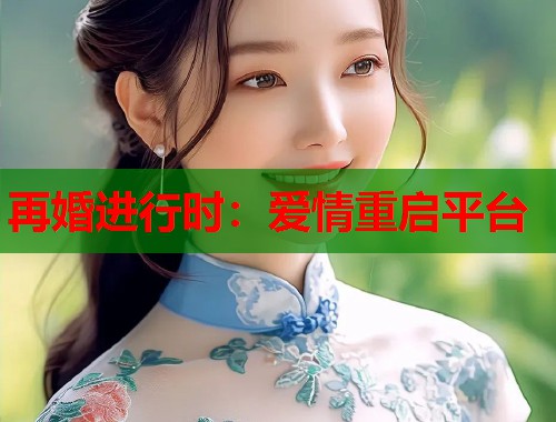 再婚进行时：爱情重启平台  第1张