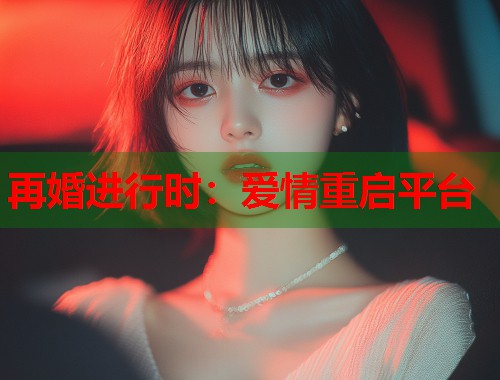 再婚进行时：爱情重启平台  第2张