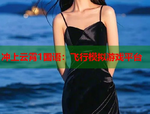 冲上云霄1国语：飞行模拟游戏平台  第1张