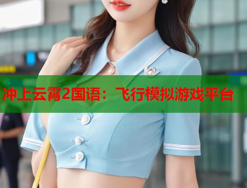 冲上云霄2国语：飞行模拟游戏平台  第2张