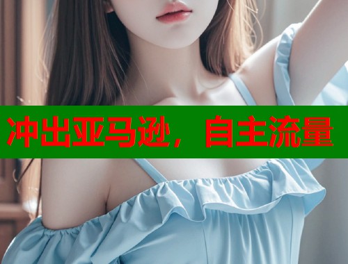 冲出亚马逊，自主流量  第1张