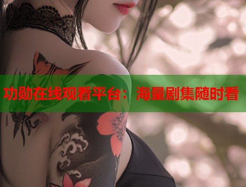 功勋在线观看平台：海量剧集随时看  第2张