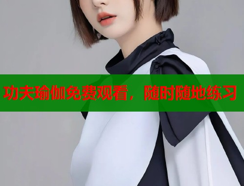 功夫瑜伽免费观看，随时随地练习  第1张
