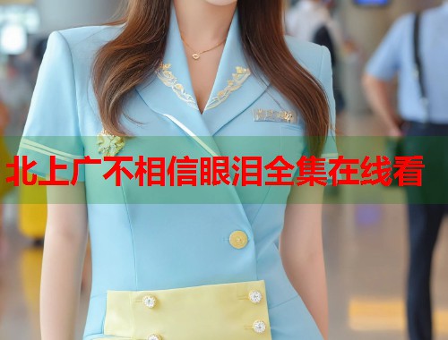 北上广不相信眼泪全集在线看  第1张