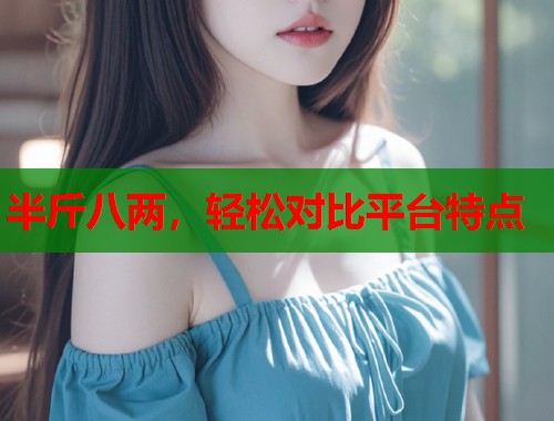 半斤八两，轻松对比平台特点  第1张