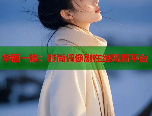 华丽一族：时尚偶像剧在线观看平台  第1张